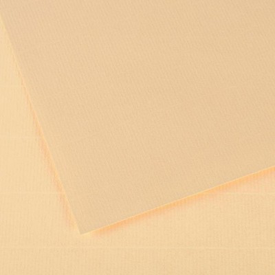 Canson Ingres Drawing Paper Sheets 19X25-Cream, 25 Sheets
