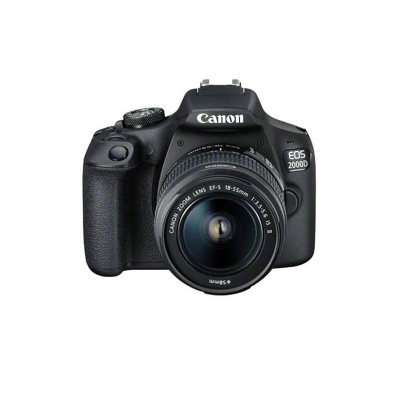 Canon EOS 2000D/Rebel T7 + 18-55mm + 75-300mm + 500mm + 420-800mm