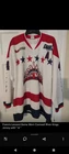 Francis Lessard Game Worn Hockey Jersey