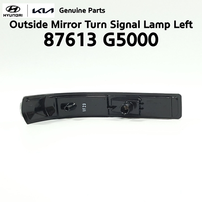Genuine 87613 G5000 Outside Mirror Turn Signal Lamp Left for Kia