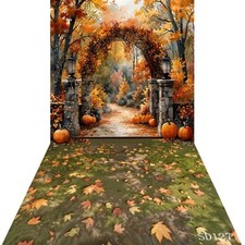 10'x20'CP Pumpkin Doorway Fall Scene Microfiber Fabric background backdrop SD127