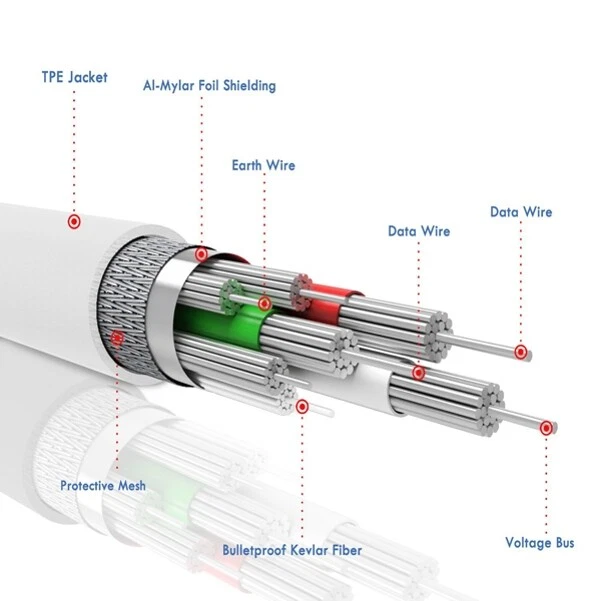 Cargador doméstico rápido de 2 puertos 30 W con cable tipo C cable USB de 10 pies para teléfonos tabletas Foto 3 de 4