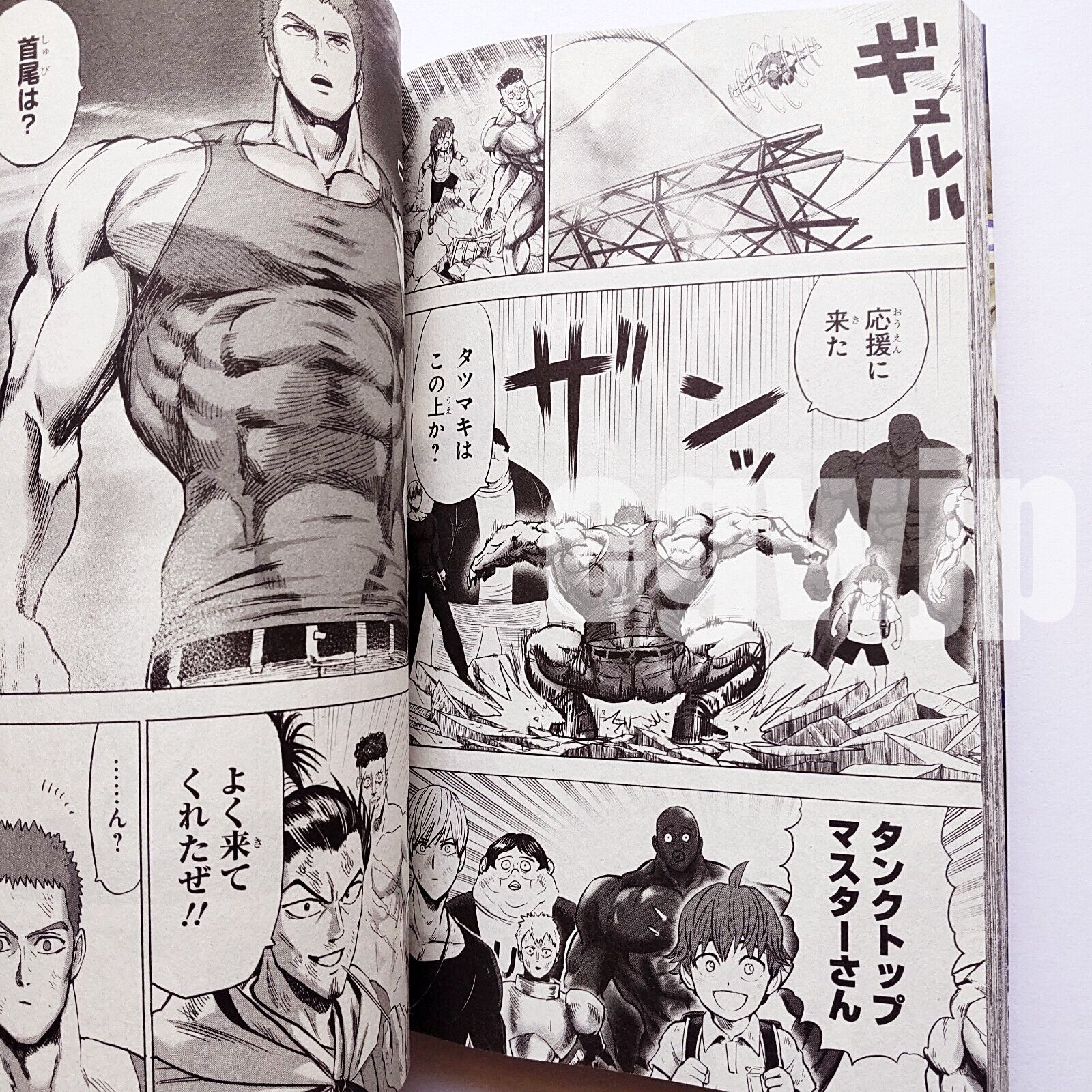 Volume 28 inside cover and illustrations. : r/OnePunchMan