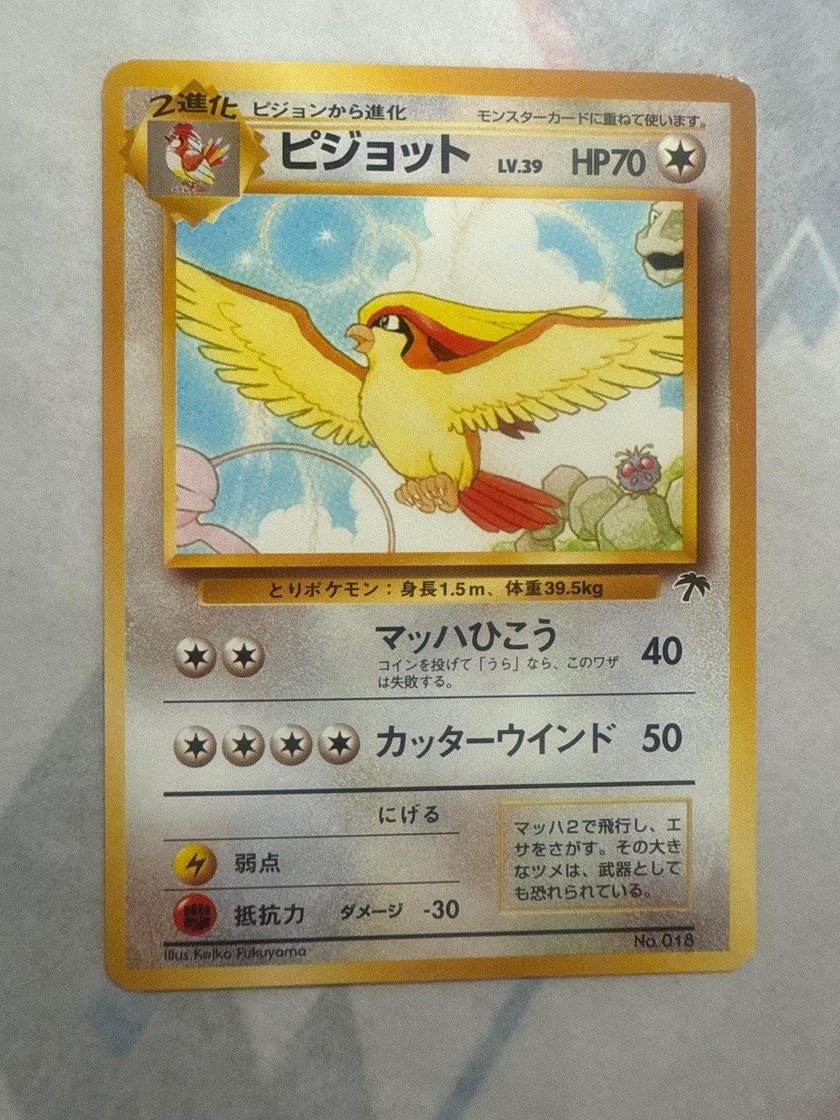 Pidgeot Pokemon Japanese Southern Islands