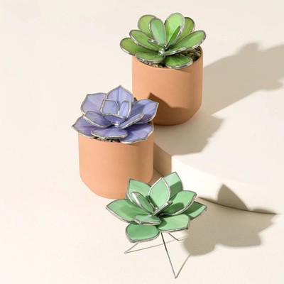 Everlasting Stained Glass Succulents (Not include pot)