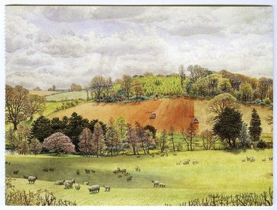 Large Art Postcard - Sheep & Lambs Grazing Near Midhurst in Spring - Unposted