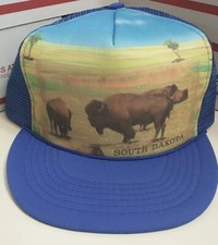 VINTAGE 80s South Dakota Buffalo Mesh Trucker Prairie Cap Hat Snapback Foam