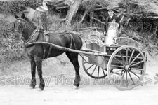 vnn-33 The Dairy Cart, Pangbourne Dairy, Berkshire. Photo