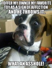 Funny  boxer dog  frigerator magnet 3 1/2 X 4 1/2 "