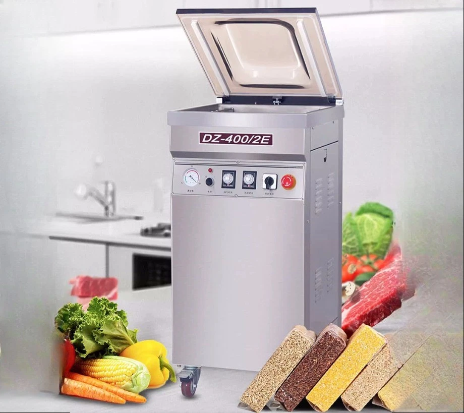 Vacuum Sealing Packing Machine For Food DZ-500/2E