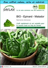 SAFLAX Kit cadeau - BIO - Epinard - Matador - 300 graines - Spinacia