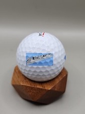 HASKINS COMPANY Logo Golf Ball Pinnacle Collectors Display Ball
