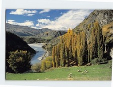 Postcard The Shotover River from Arthurs Point Queenstown