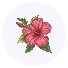 24 x 'Hibiscus Flowers' Stickers (SK00067521)