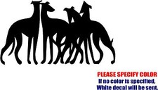 GREYHOUNDS 2 Decal Sticker Dog Pets JDM Funny Vinyl Car Window Bumper Truck 7"