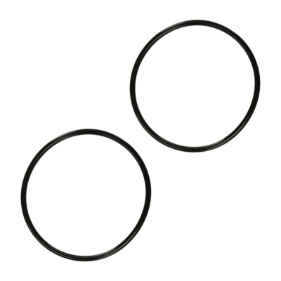 2 Pack Pentair WhisperFlo/IntelliFlo Lid O-Ring Replacement OEM 350013