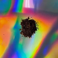 High Nuciferine Blue Lotus Extract (5 grams)