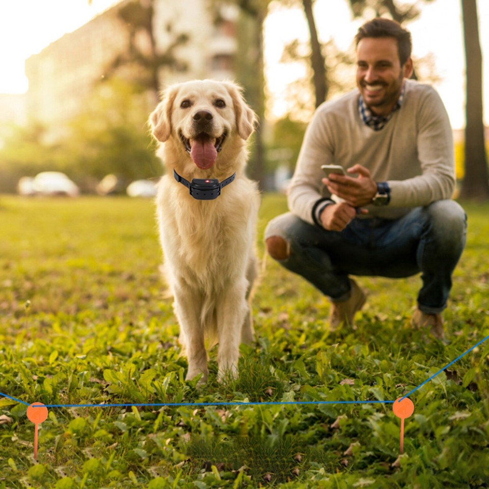 For 1/2 Dogs Underground Electric Outdoor Dog Fence Pet Containment