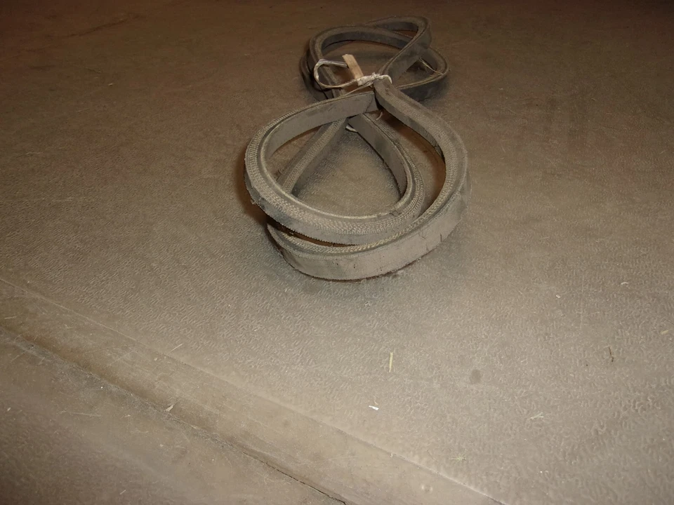 NUEVO OEM GREAT DANE D18004 OEM CORREA DE REPUESTO Foto 2 de 3