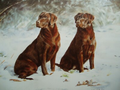 Debbie Gillingham - Choc Ice - Labrador - Limited Edition No. 391/495 - nur Druck