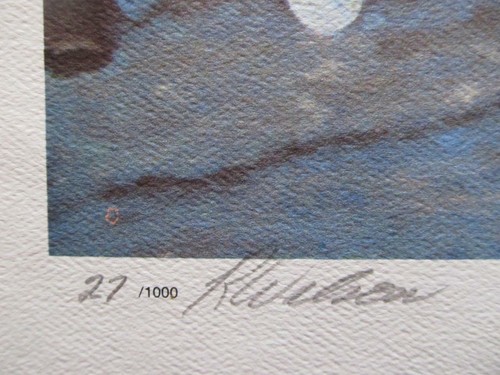 GENERALS TO THE REAR - SIGNED LIMITED EDITION CIVIL WAR PRINT - BY ROBERT WILSON - Picture 3 of 12