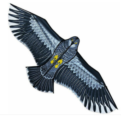 New Huge 1 5m Eagle Kite Single Line Novelty Animal Kites
