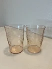 Vintage Pink Depression 12 oz Tumbler with Grapes - Standard Glass Co. Set of 2
