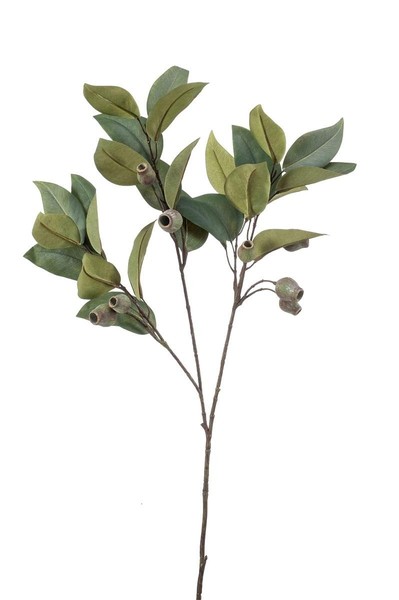 Artplants KüNstlicher Eukalyptus Zweig Vizimir Mit FrüChten, GrüN, 80Cm-image
