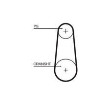 Zahnriemen Gates 5383XS für PORSCHE