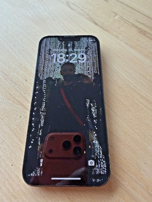Apple iPhone 13 Pro - 256GB - Alpingrün (Ohne Simlock) (Dual-SIM)