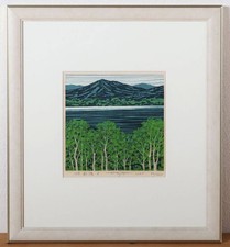 Fumio Fujita Lake Fresh Greenery Woodblock 1985 Signed ED 80/200 Framed With Box