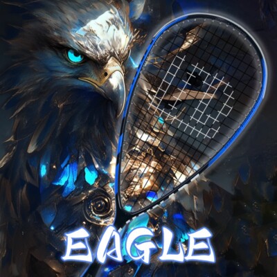 Graphite Carbin Fiber integration Squash Racket 50-55lbs Racquets with Free Bag