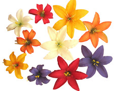 10 Piece 2 size Multi Color Lily Silk Flower,Hair Clip,Updo,Pin Up,Bridal,Party
