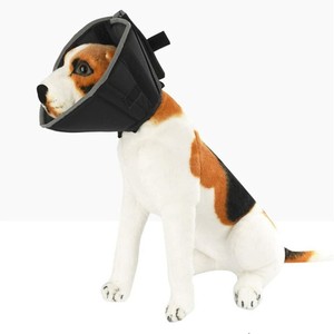 padded dog cone