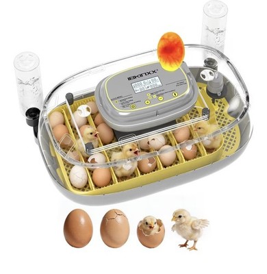  Incubator for Hatching Eggs-24 Egg Capacity, Automatic Egg Turner