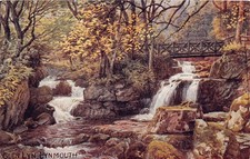 Glewn Lyn Lynmouth Devon England Postcard A.R Quinton