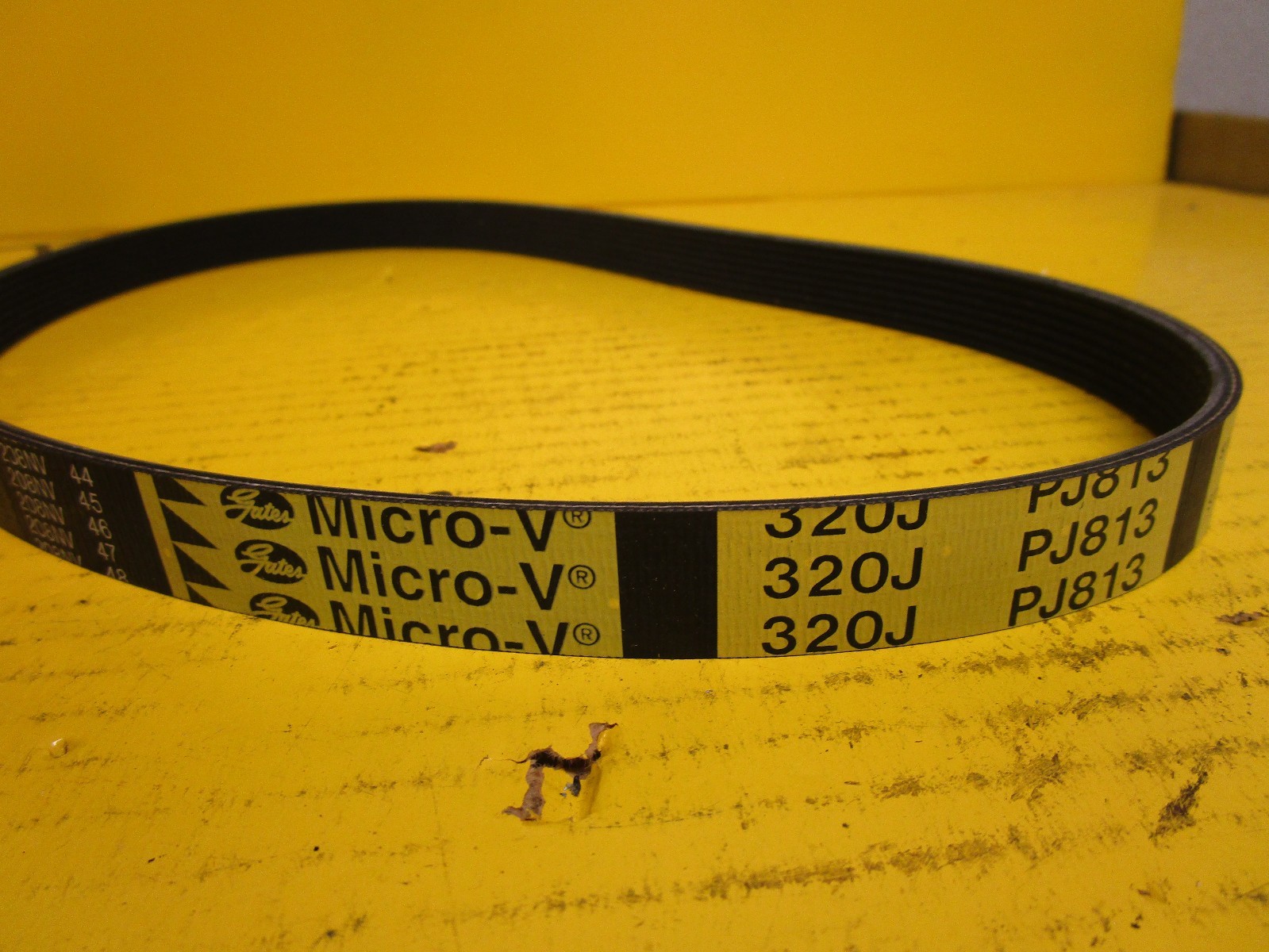 NEW GATES MICRO-V TIMING BELT 320J//PJ813 19mm 320J 813 MM