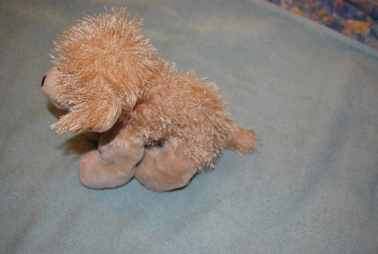 Picture 6 of 12