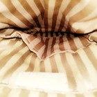 Bild 9 von 9