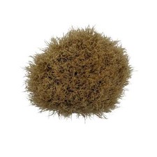 Black Boar Shaving Brush 20106 - by Omega Used 