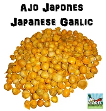 AJO JAPONES (JAPANESE GARLIC) 100% NATURAL!!! 150-250-400 PER BAG