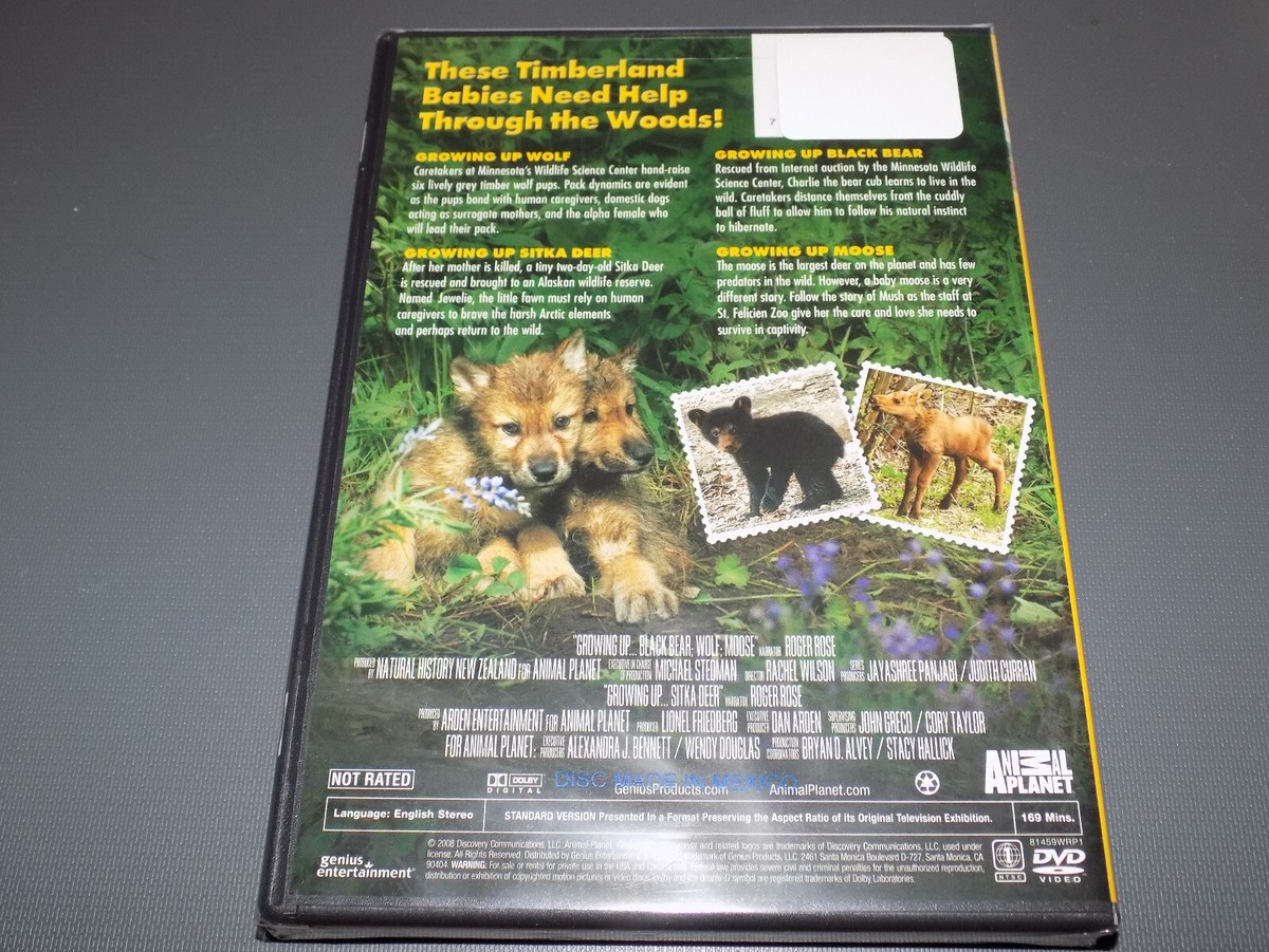 Growing Up Wilderness [DVD](品) (shin 【公式通販】