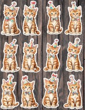 Orange Party Cat Die Cut Vinyl Stickers Set Scrapbooking Laptop Waterbottle