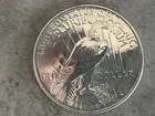 1924 Peace Dollar polished