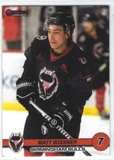 2022-23 Birmingham Bulls (SPHL) Matt Wiesner