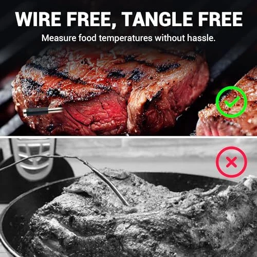 Wireless Meat Thermometer, Long Range Bluetooth 5.2 with Silver / Single Probe