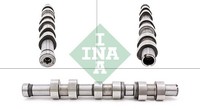 428 0171 10 INA Nockenwelle FüR Seat,Skoda,Vw