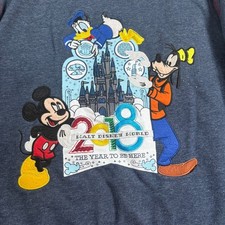 Disney Parks Youth L Gray Zip Hoodie Fleece 2018 Walt Disney World Jacket