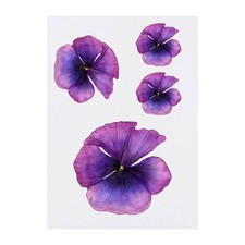 4 x 'Violet Poppy' Temporary Tattoos / Transfers TO00015927 