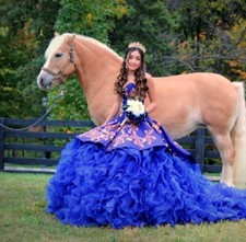quinceañera ball gown dress